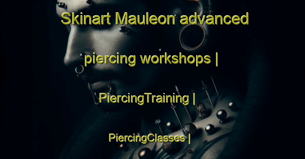 Skinart Mauleon advanced piercing workshops | PiercingTraining | PiercingClasses | SkinartTraining-France